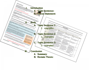 essays in basic literature